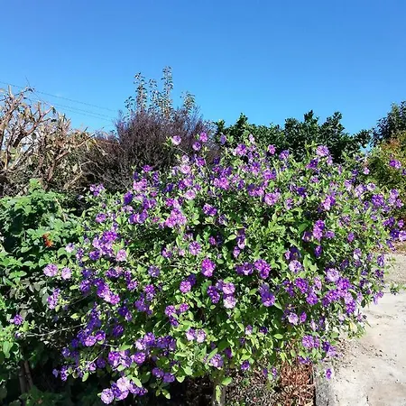 Casa Da Calcada Проживание в семье Mujaes
